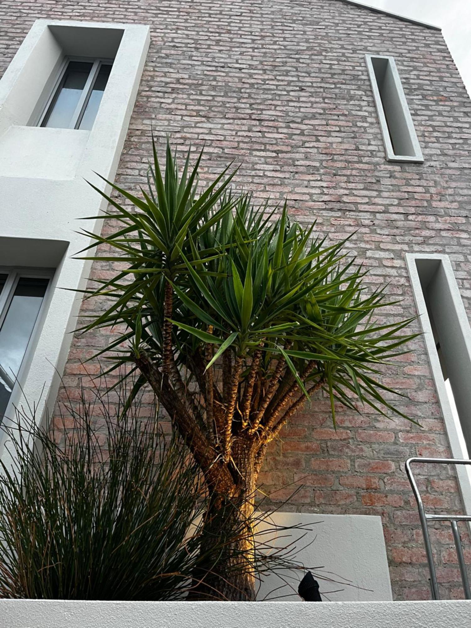 The Windhoek Luxury Suites Luaran gambar
